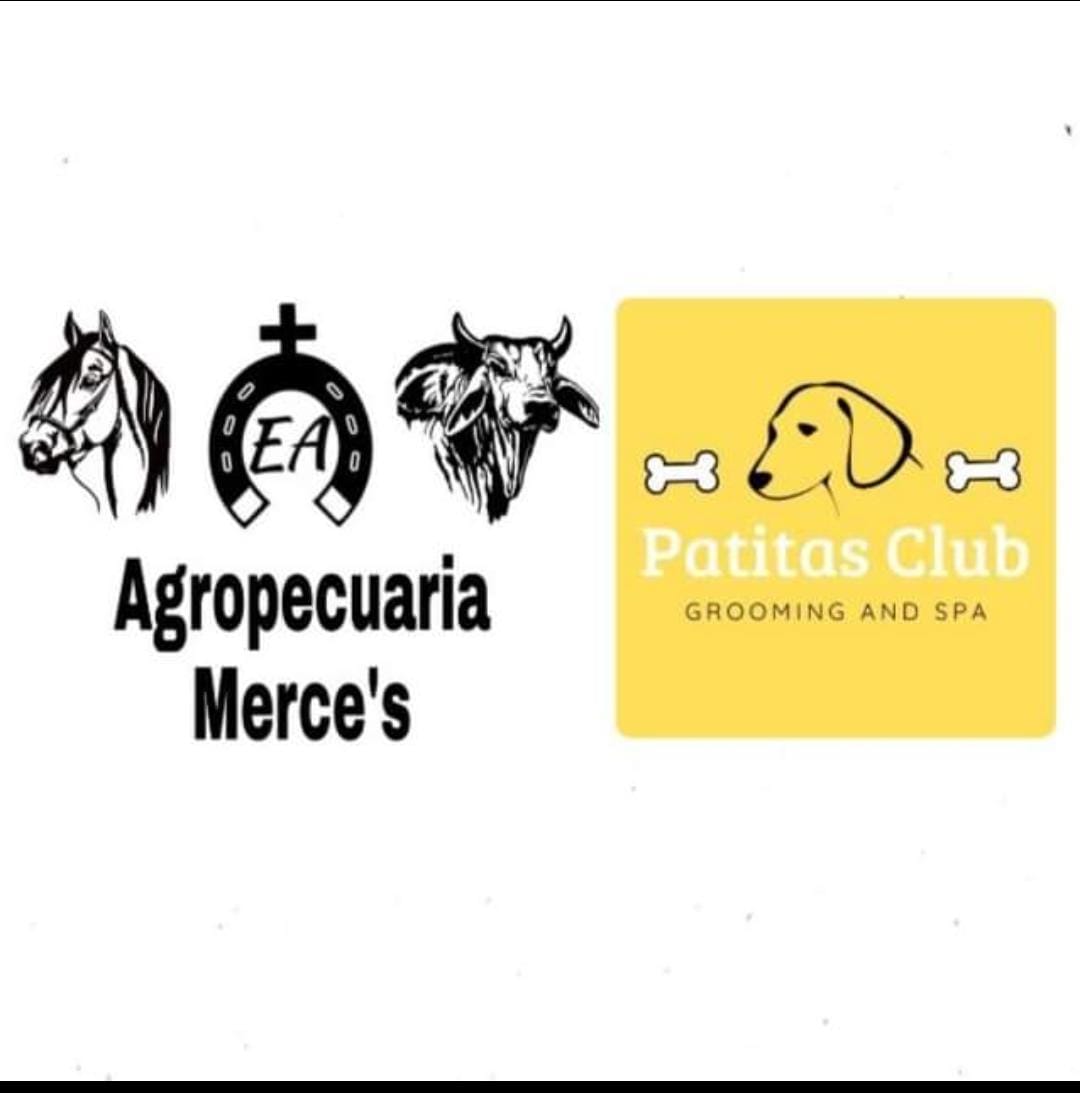 PATITAS CLUB