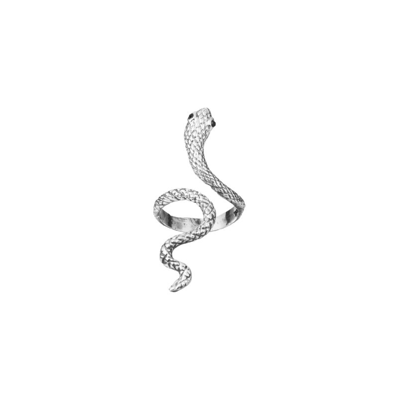 Anillo serpiente vertical de plata 9.25.